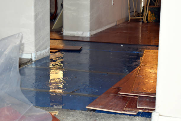 Professional Flood Cleanup technician working in Sanford, MI